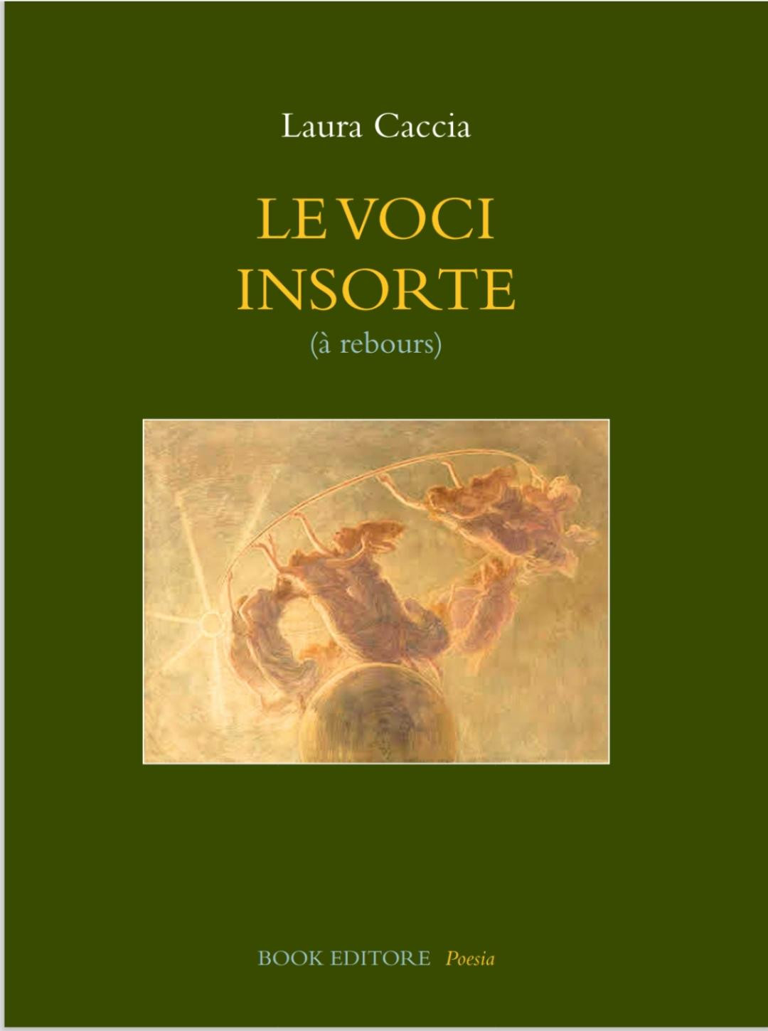 Le voci insorte copertina